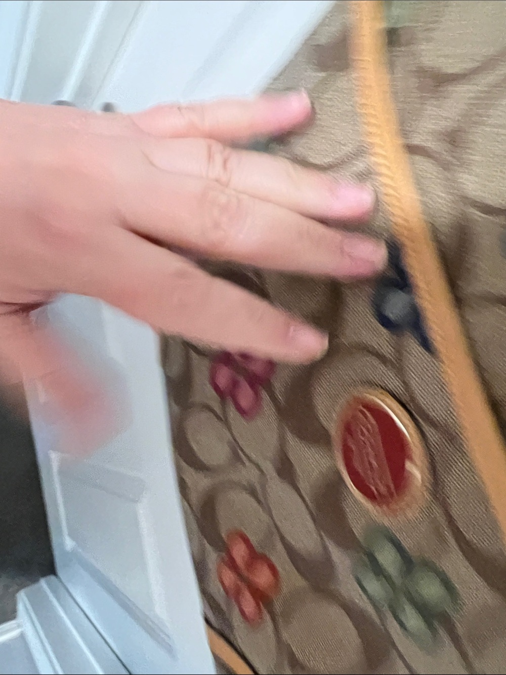 Coach Tan Signature Canvas Shoulder Bag with Multicolor Floral Accents - Picture 7 of 7